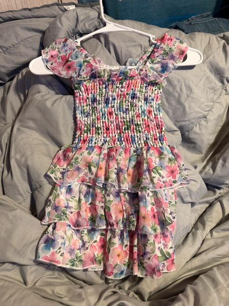 Girls size 4/4T Dress photo 2