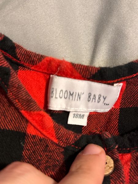 Plaid Dress 18m photo 3